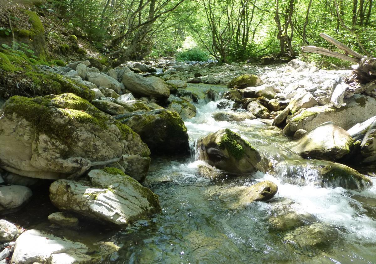 Petition: Green Zones for Blue Rivers in Macedonia | Save the Blue ...