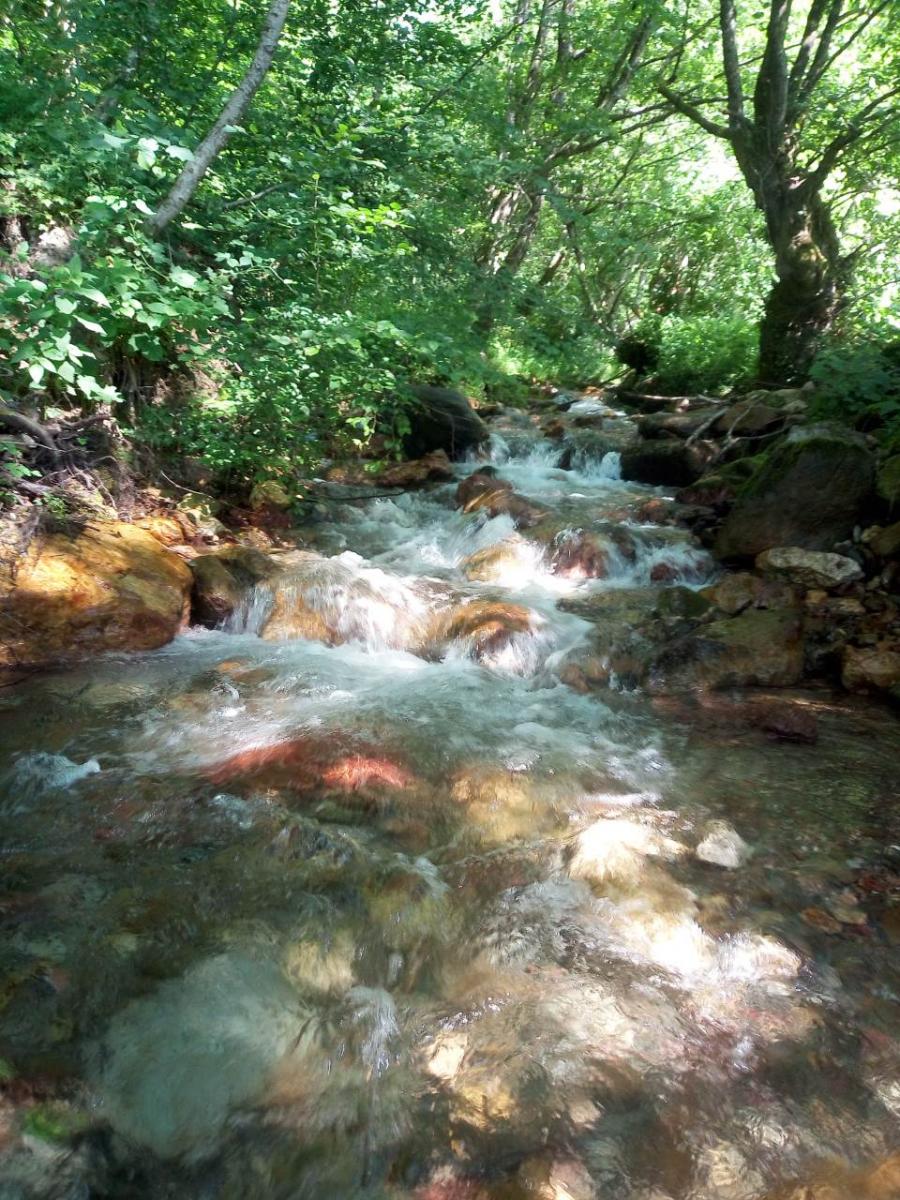 The Vinicka River in Montenegro supplies drinking water to local communities. Photo courtesy Mihajlo Ostojic